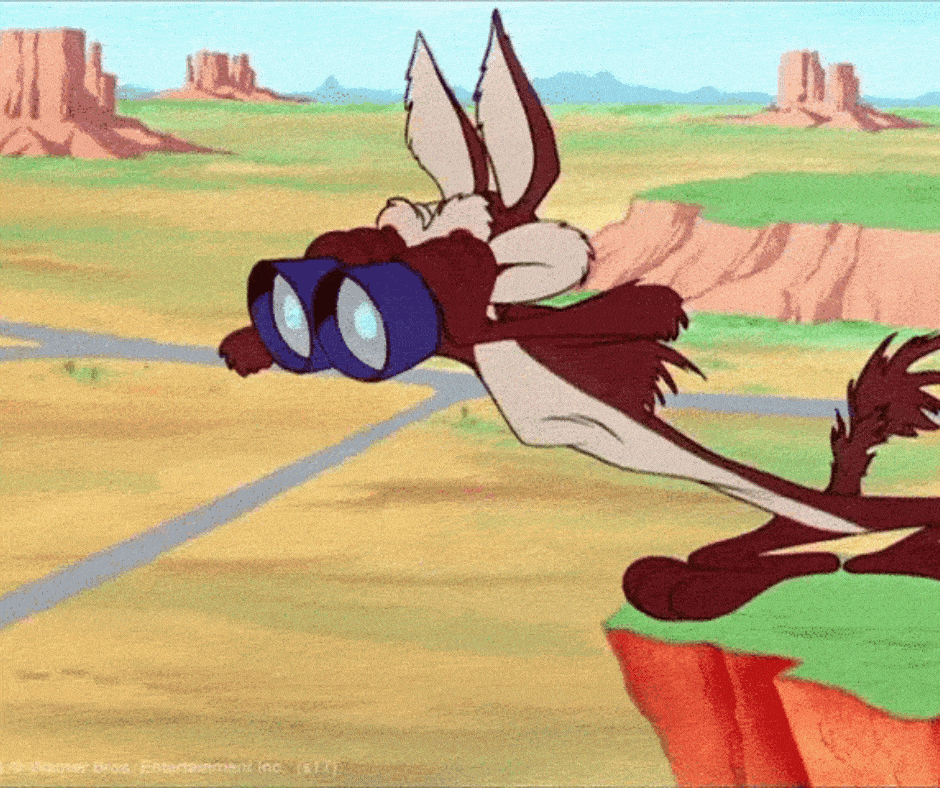 Start your student accommodation search