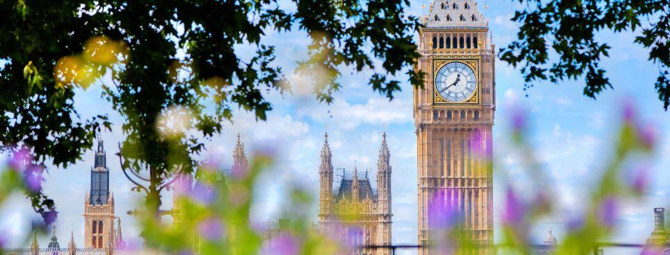 Summer accommodation Host 