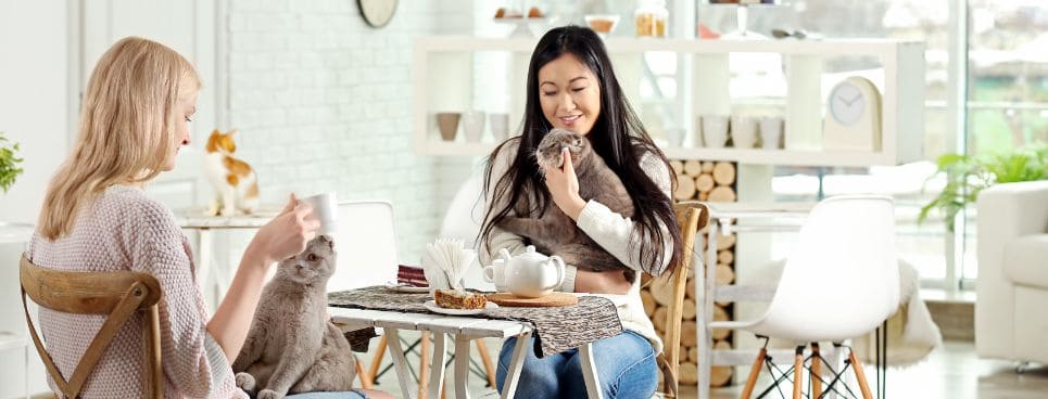 Best restaurants in Nottingham - Host Student accommodation