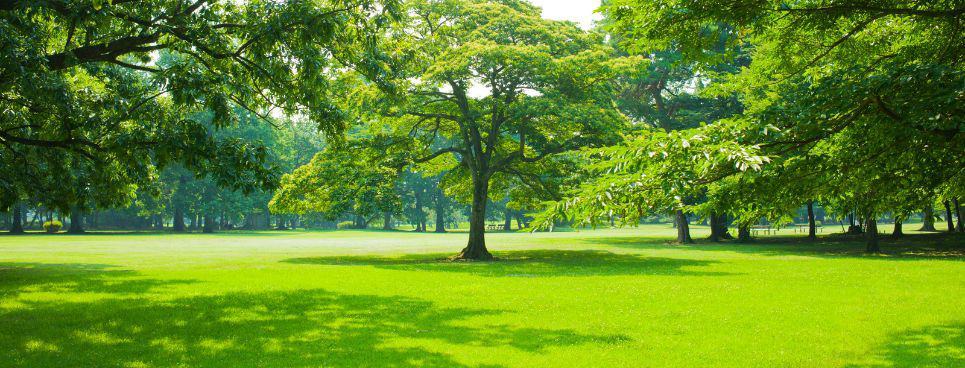 Try a new sport at easter