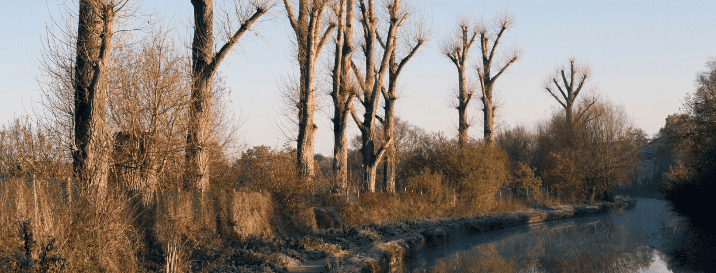 Canal and Park walks in Wolverhampton