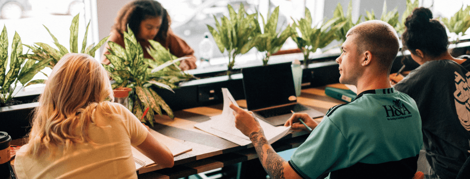 Harvard learning studying tips