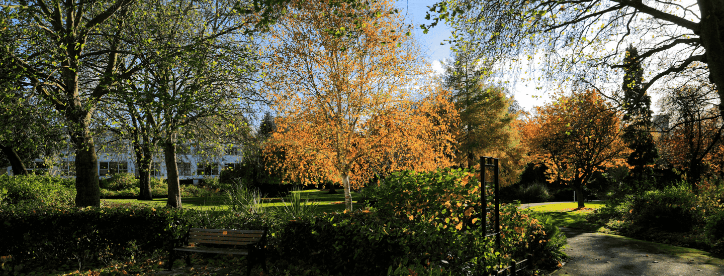 On your doorstep - Castle Gardens Leicester On your Leicester doorstep at 41 Castle Street